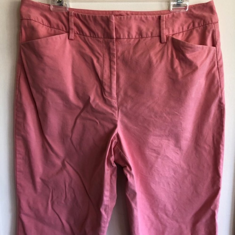 TALBOTS Stretch Pink Cotton Chino Ankle Pants 12 - Picture 2 of 16